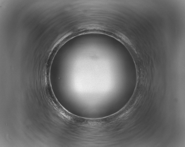 X0000078880782200611201409
