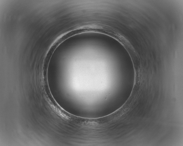 X0000078880784200611201409