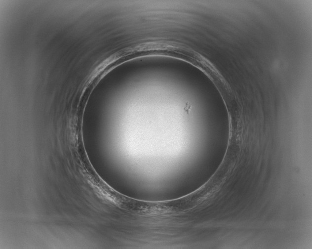 X0000078880786200611201409