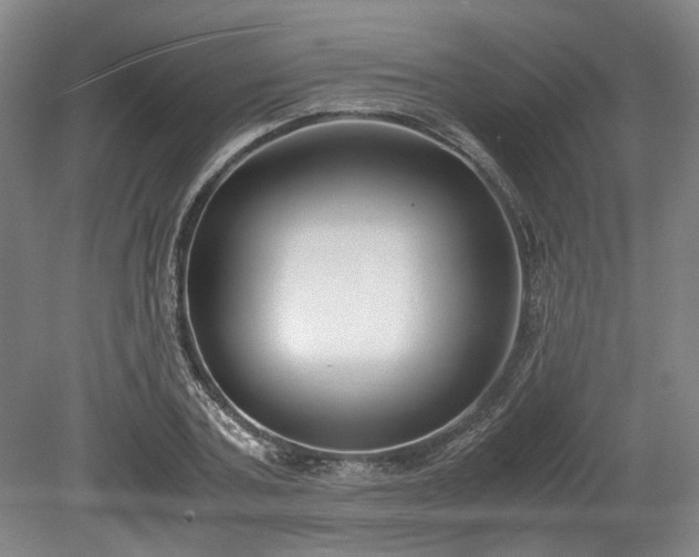 X0000078880787200611201409