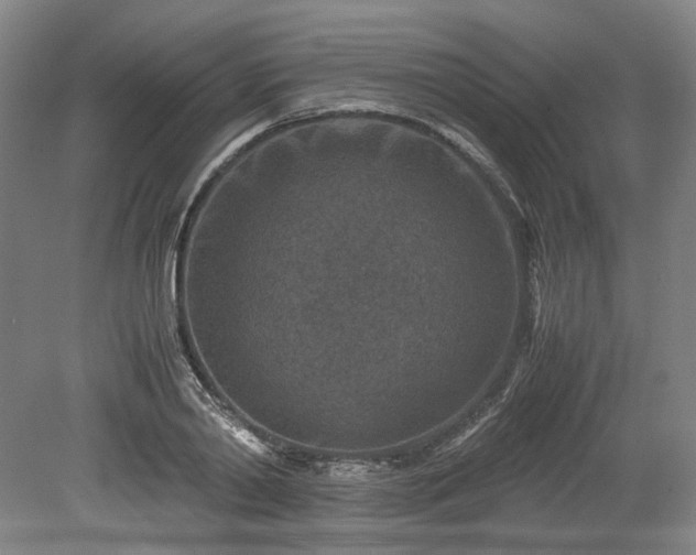 X0000078880790200611201409