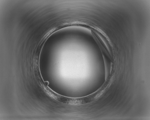 X0000078880793200611201409
