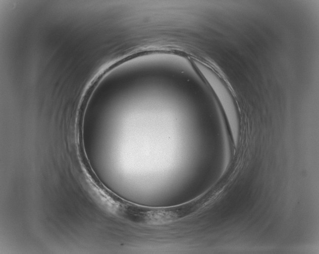 X0000078880795200611201409