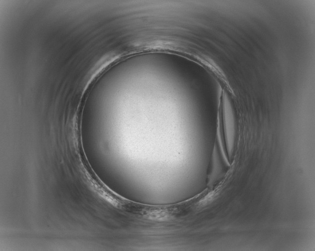 X0000078880798200611201409