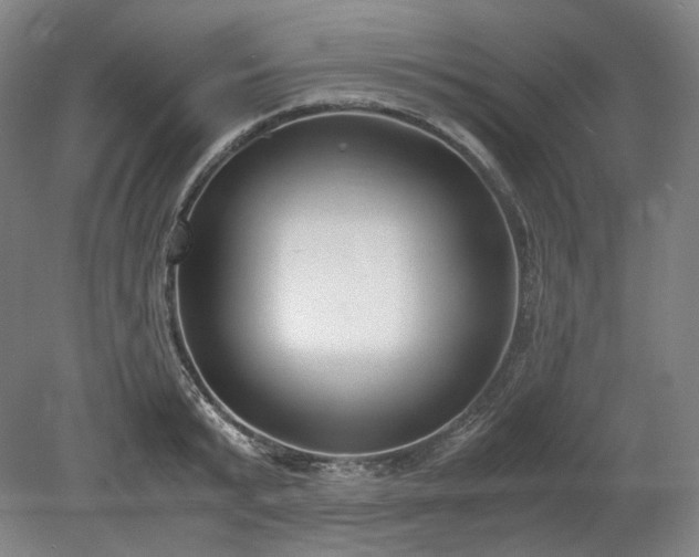 X0000078880799200611201409