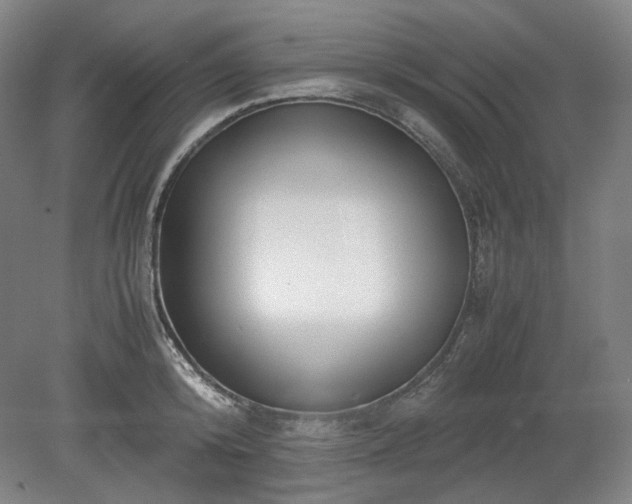 X0000078880800200611201409
