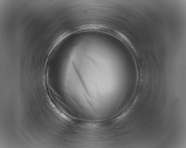 X0000078880802200611201409