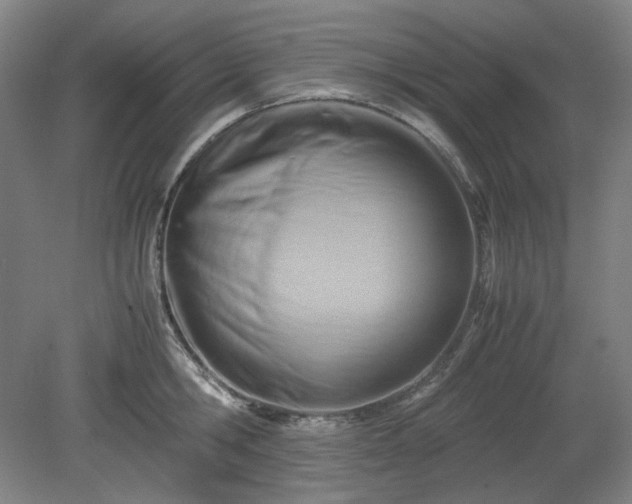 X0000078880806200611201409