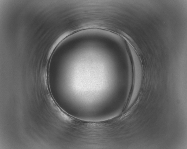 X0000078880812200611201409