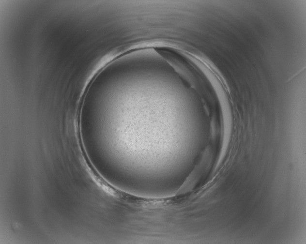 X0000078880813200611201409