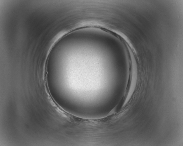 X0000078880815200611201409