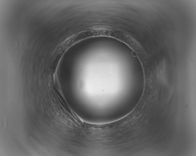X0000078880821200611201408