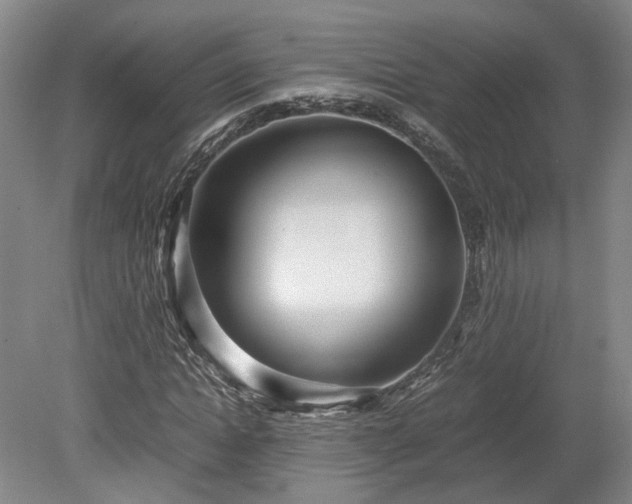 X0000078880822200611201408