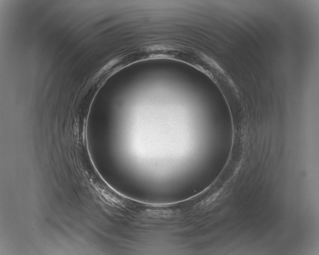 X0000078880825200611201408