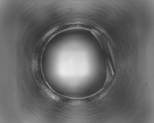 X0000078880826200611201408