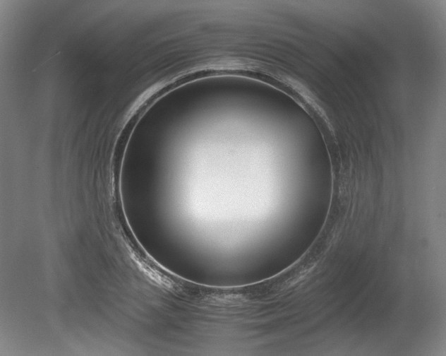 X0000078880837200611201408