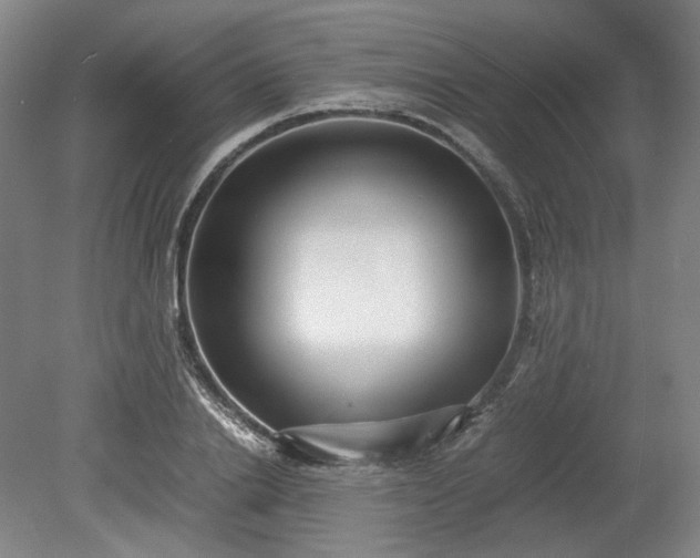 X0000078880838200611201408
