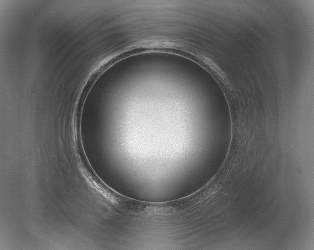 X0000078880840200611201408