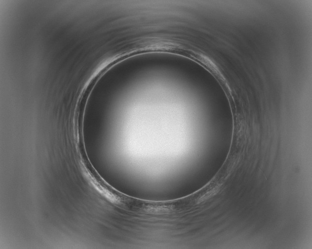 X0000078880843200611201408