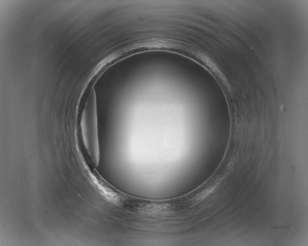 X0000078880845200611201408
