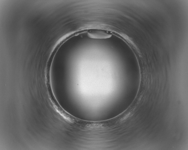 X0000078880846200611201409