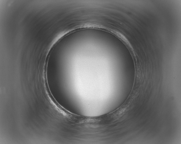 X0000078880847200611201409