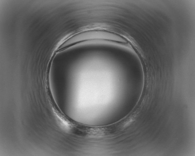 X0000078880850200611201409