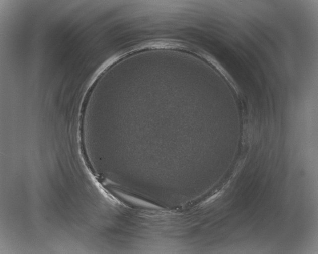 X0000078880853200611201409