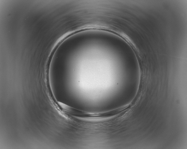 X0000078880854200611201409