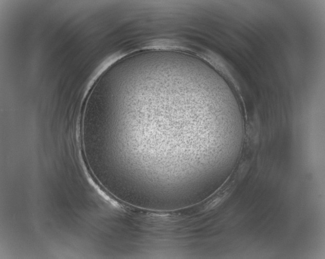 X0000078880855200611201409