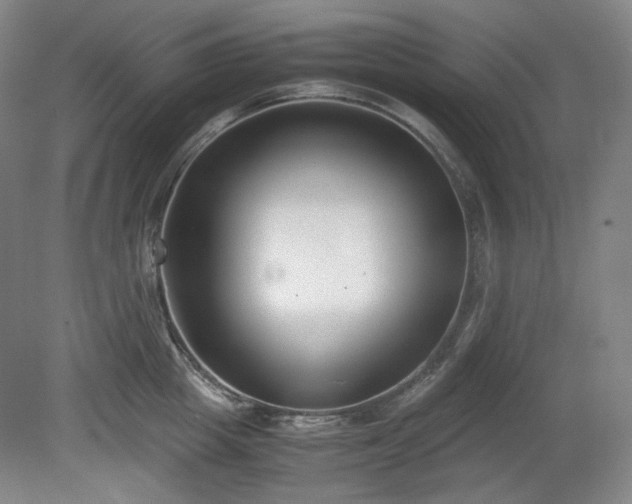 X0000078880857200611201409