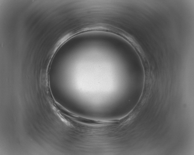 X0000078880858200611201409
