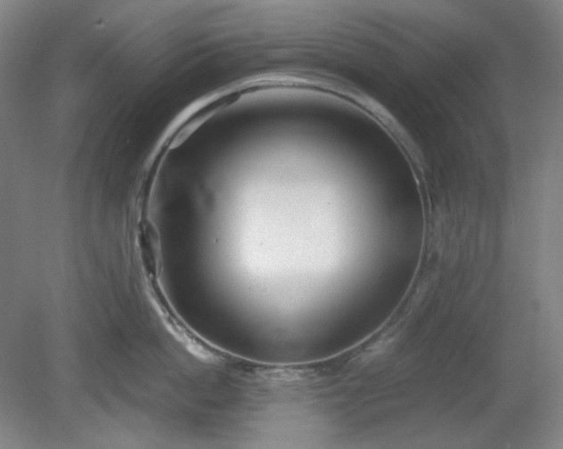 X0000078880862200611201409