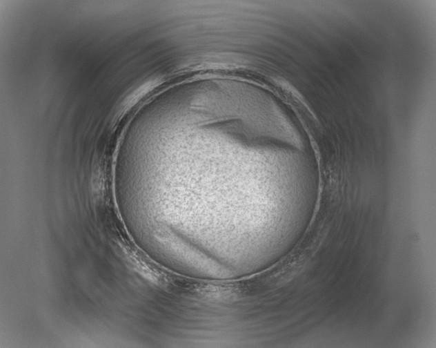 X0000078880874200611201408