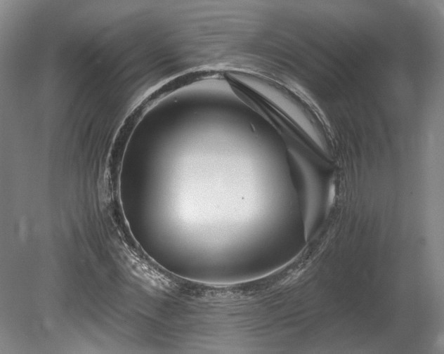 X0000078880876200611201408