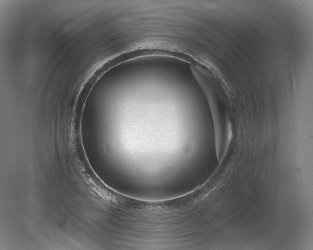 X0000078880880200611201408
