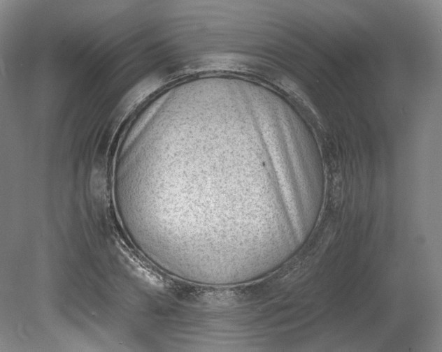 X0000078880882200611201408
