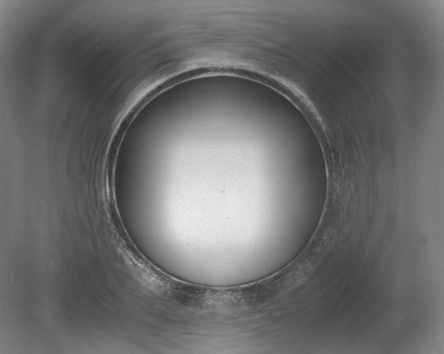 X0000078880887200611201408