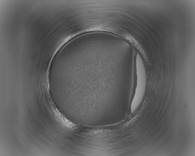X0000078880892200611201408