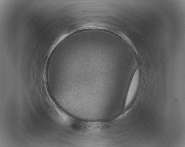 X0000078880893200611201408
