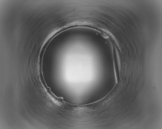 X0000078880894200611201407