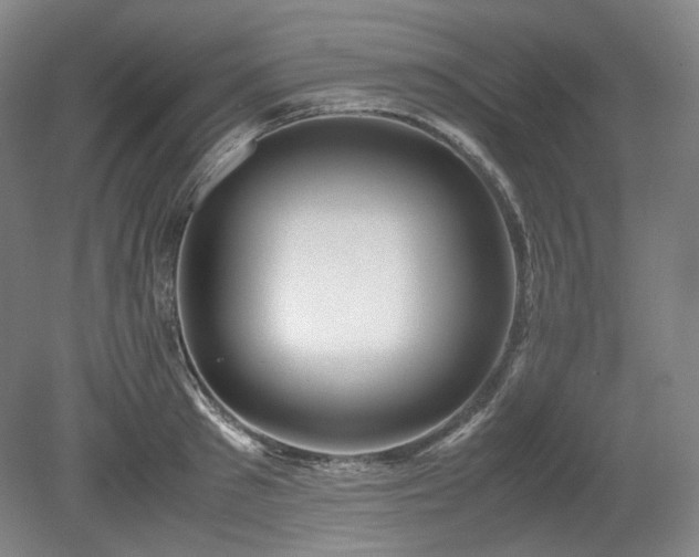 X0000078880897200611201407
