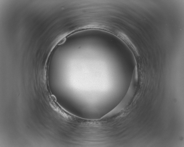 X0000078880900200611201407