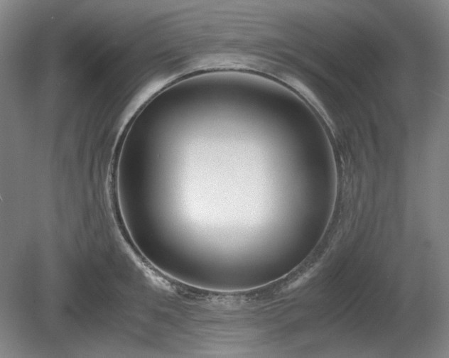 X0000078880901200611201407