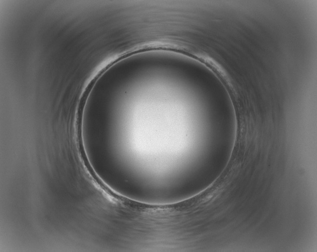 X0000078880902200611201407
