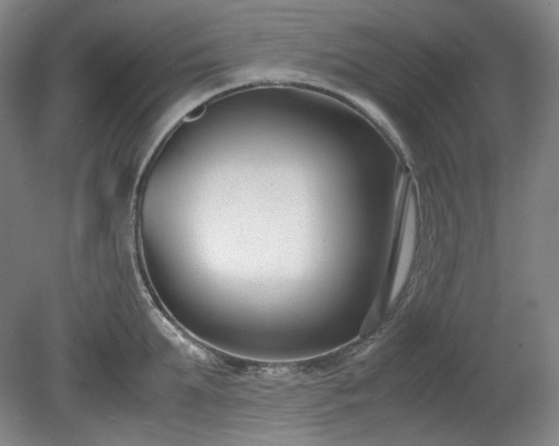 X0000078880903200611201407