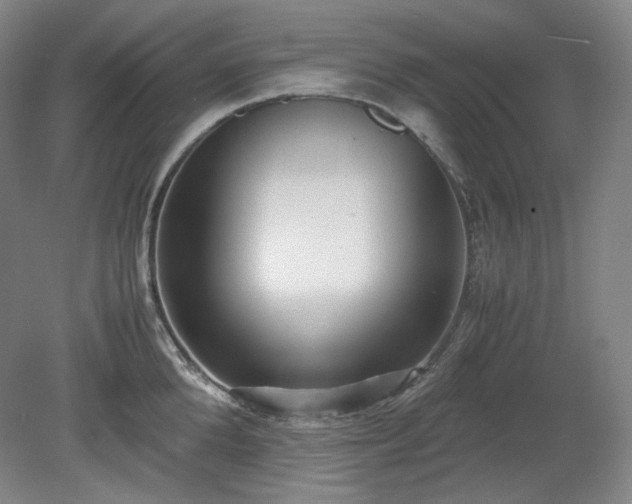 X0000078880904200611201407
