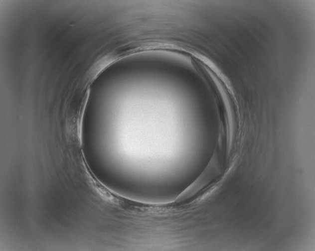 X0000078880905200611201407