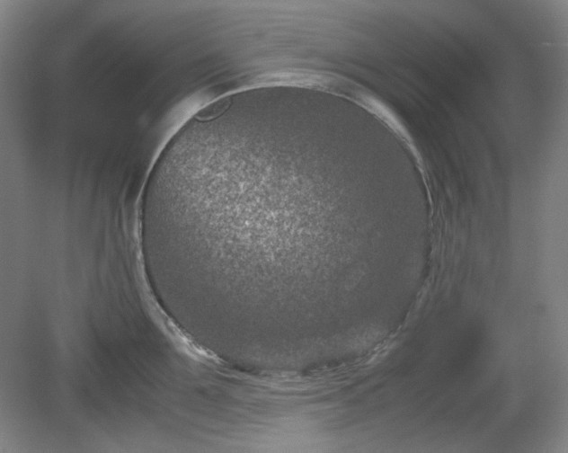 X0000078880907200611201407