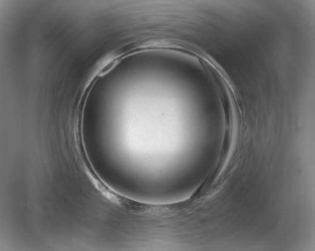 X0000078880909200611201407